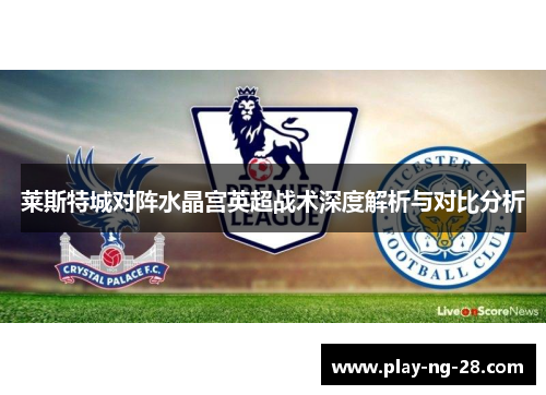 莱斯特城对阵水晶宫英超战术深度解析与对比分析