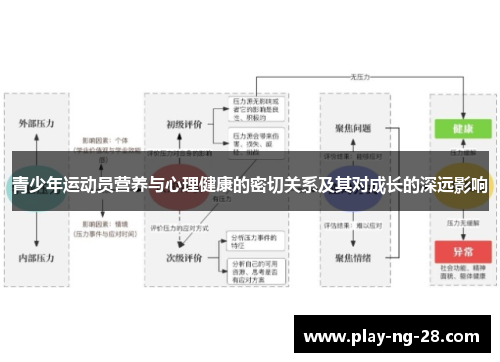 青少年运动员营养与心理健康的密切关系及其对成长的深远影响