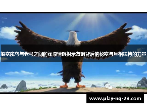 解密魔鸟与老马之间的深厚情谊揭示友谊背后的秘密与互相扶持的力量