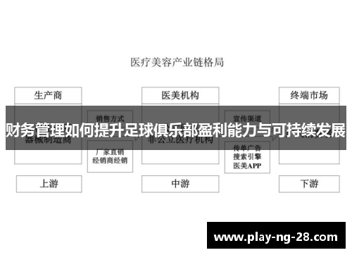 财务管理如何提升足球俱乐部盈利能力与可持续发展 财务管理如何提升足球俱乐部盈利能力与可持续发展