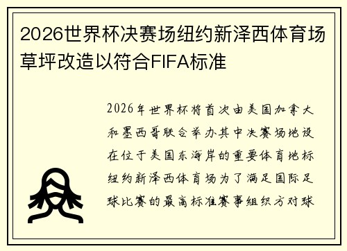 2026世界杯决赛场纽约新泽西体育场草坪改造以符合FIFA标准