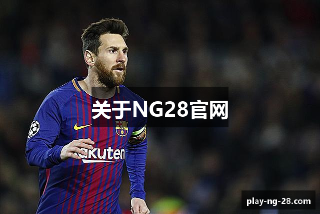 关于NG28官网